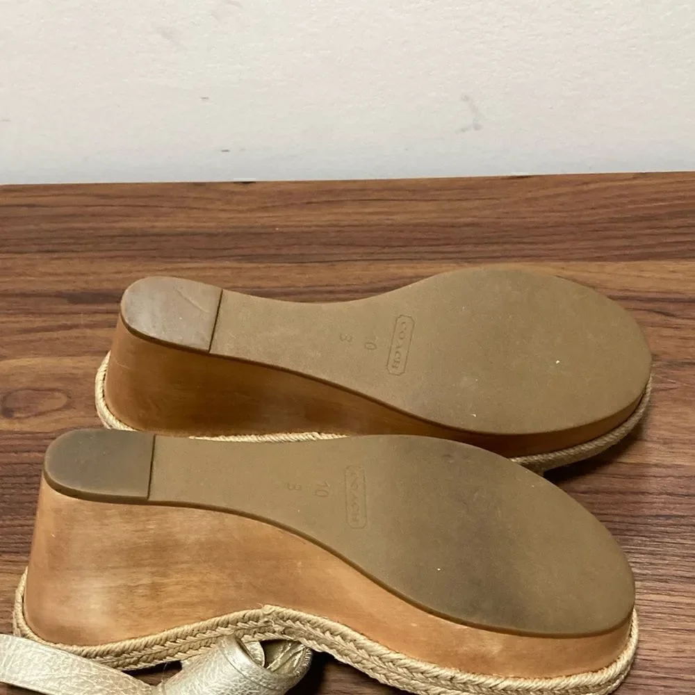 Coach Marian Metallic Silver Wood Platform Wedge Sandals w/Ankle Strap. Size 10.